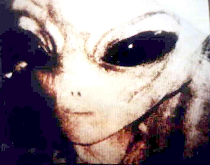 http://www.ufoconspiracy.com/images/gray_alien_50yrs_of_denial_photo1.jpg