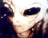 gray_alien_50yrs_of_denial_photo1.jpg (28388 bytes)